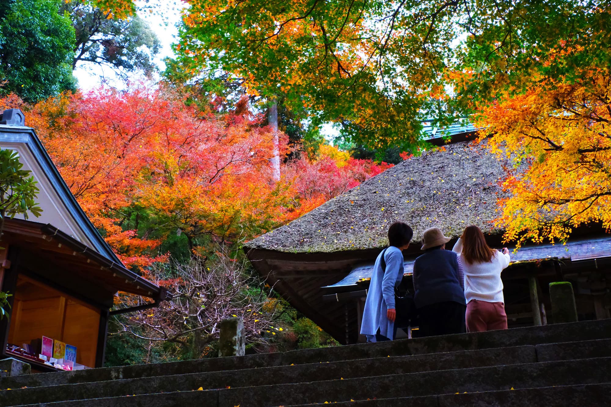 daikouzenji.jpg